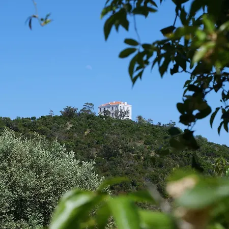La Kalliste Rez-de-villa * Cavalaire-sur-Mer